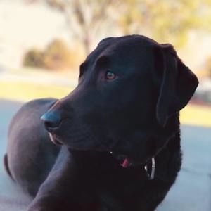 Meet your Posher, Nichole